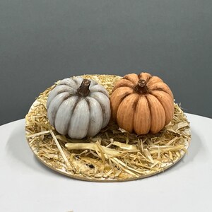 May include: Two small decorative pumpkins, one white and one orange, are sitting on a bed of straw.
