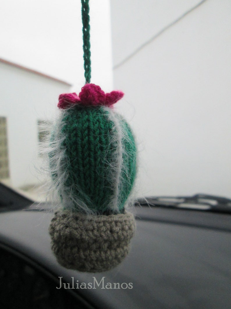 Cactus charm for Rear view mirror Car accessories for women Etsy