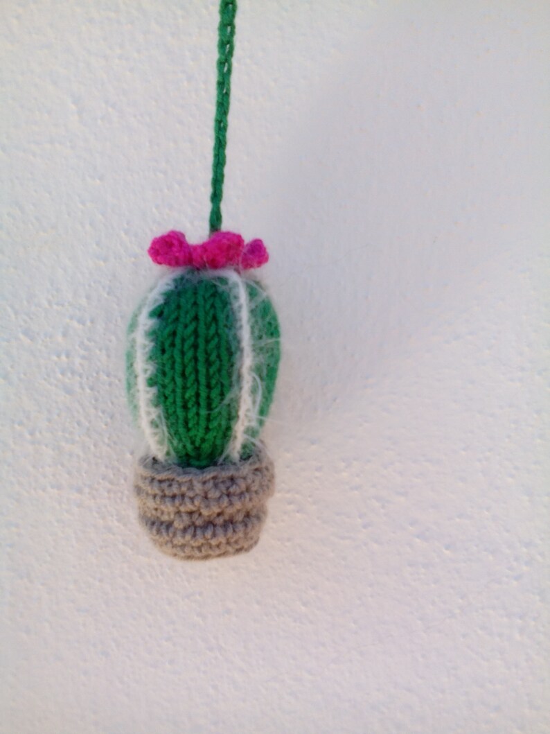 Cactus charm for Rear view mirror Car accessories for women Etsy