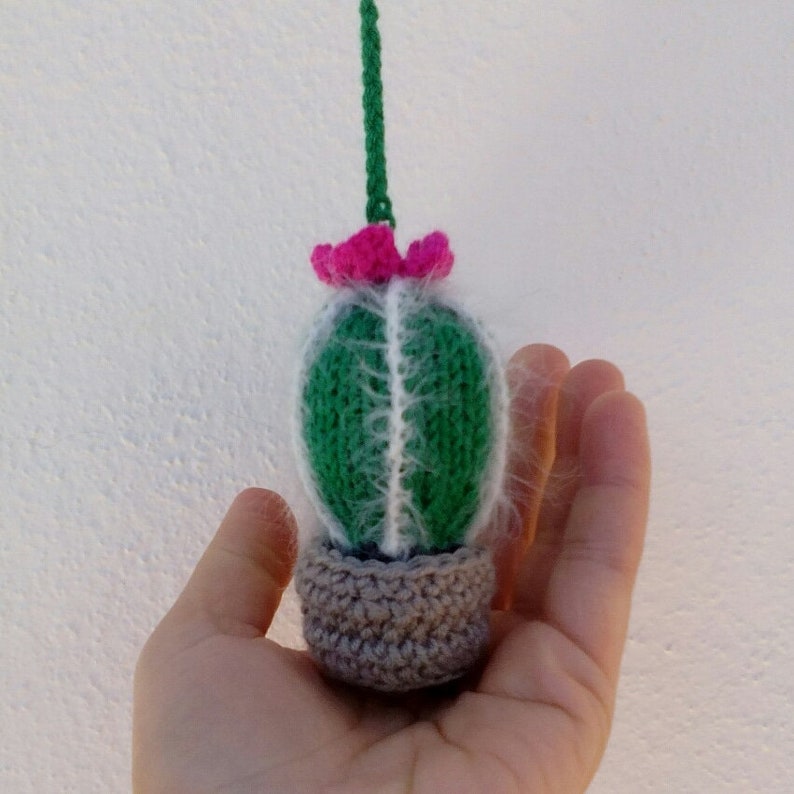 Cactus charm for Rear view mirror Car accessories for women Etsy