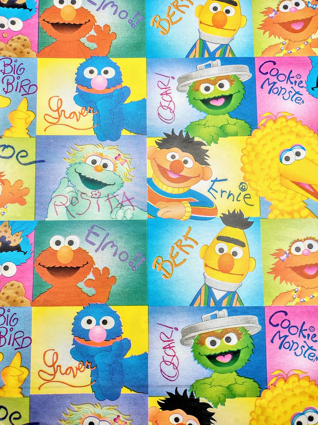 Sesame Street Gift Wrap Colorful Kids Wrapping Paper 2 Sheets