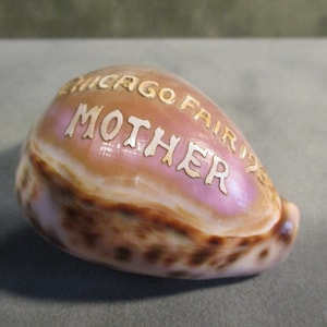 Carved Cowrie Shell World&#39;s Fair 1934, for Mother