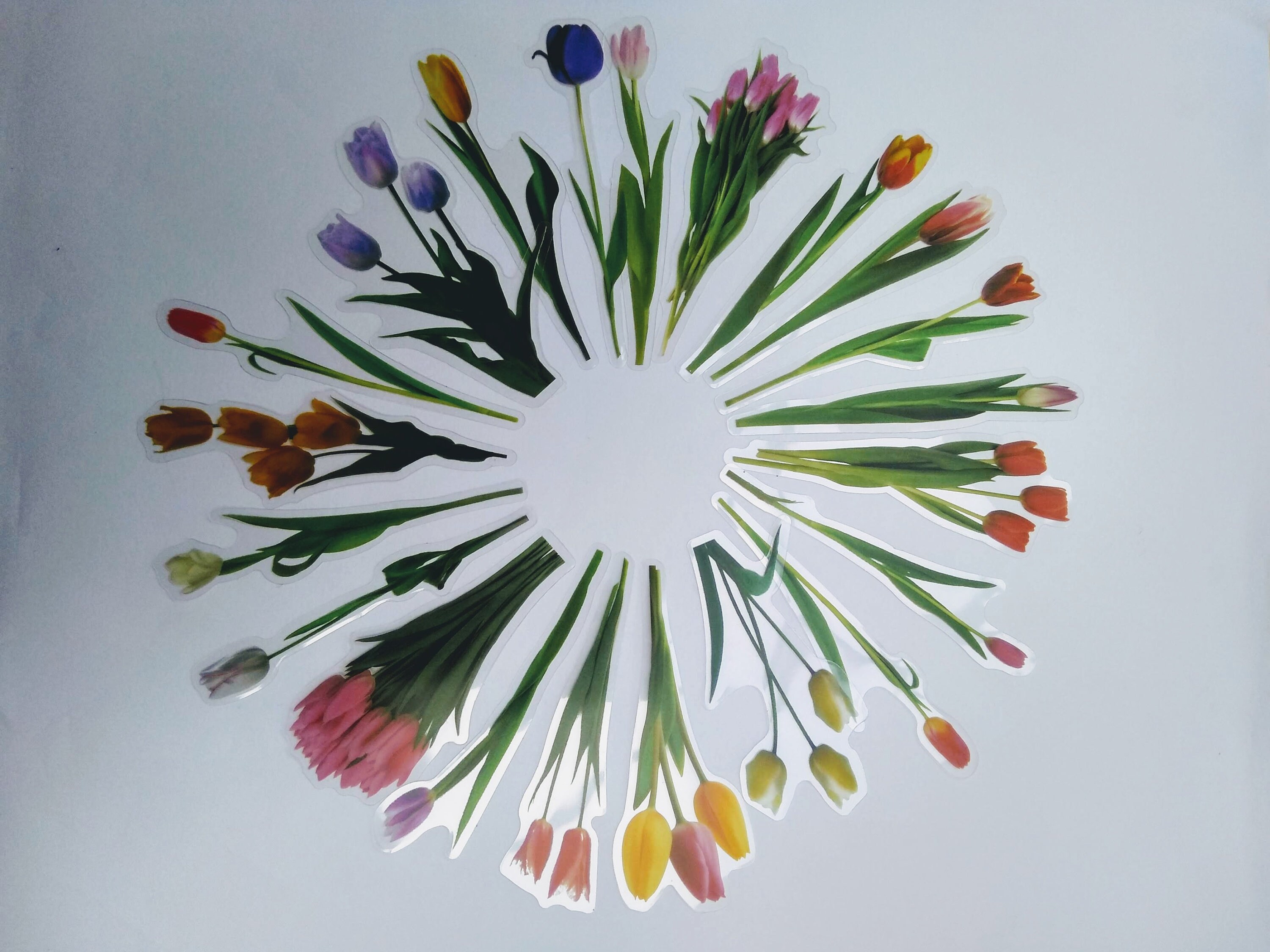 Tulips Sticker Pack - Etsy