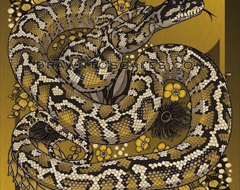 Carpet Python (8" x 10" print)