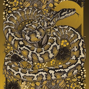 Carpet Python (8" x 10" print)