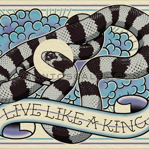 Live Like a King, California Kingsnake (8x10 print), FREE SHIPPING