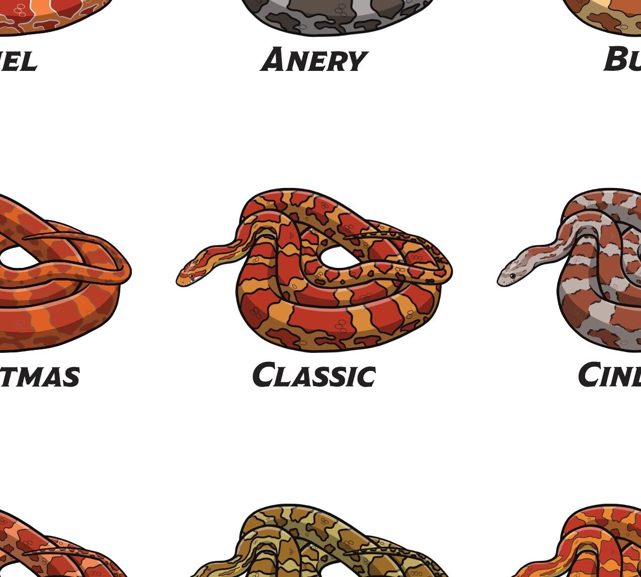 Above 40 Corn Snake Morphs Color Chart UPQUZQ Above 40 Corn Snake Morphs Color Chart UPQUZQ