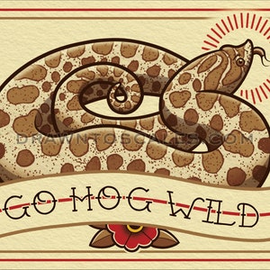 Go Hog Wild Western Hognose Snake, 3 versions  (8x10 print), FREE SHIPPING