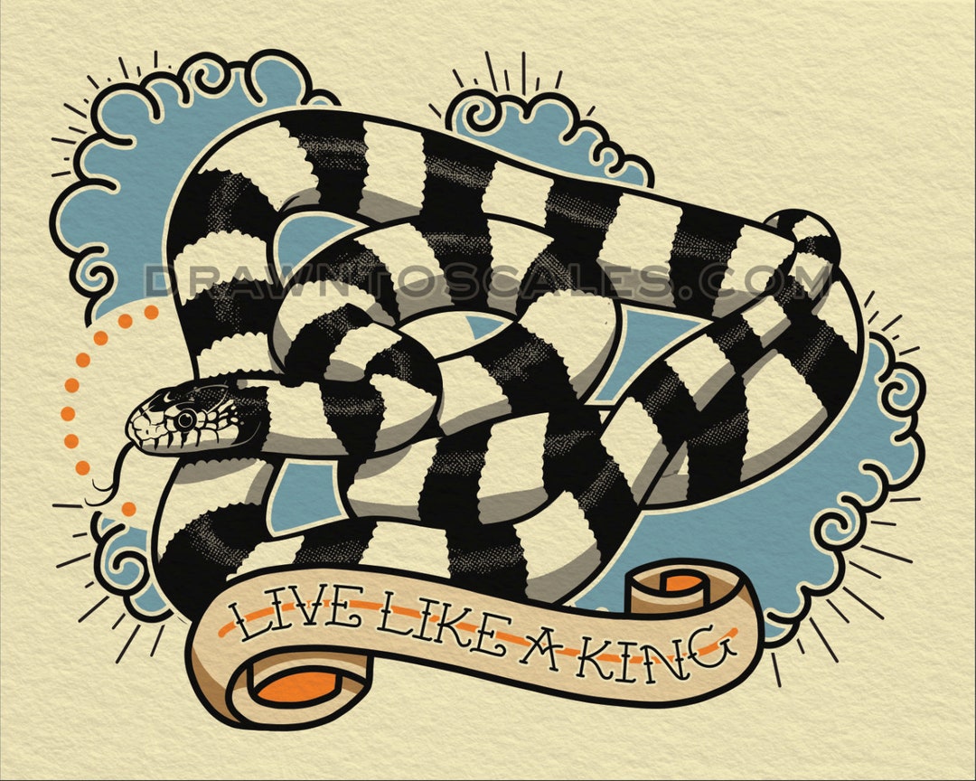 California Kingsnake Art 