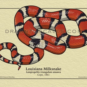 May include: A handmade, ceramic mug with a speckled, cream-colored glaze. The mug features a wide, rounded body and a sturdy handle. The interior is a darker, earthy tone. The mug is suitable for hot or cold beverages.