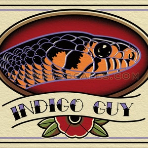 May include: A vintage-style illustration of a snake's head with orange, black, and purple scales. The snake is in a red oval with a gold border. The text "INDIGO GUY" is below the snake in a banner with a red flower.