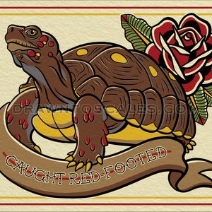 Caught Red-Footed Tortoise (8x10 print), FREE SHIPPING