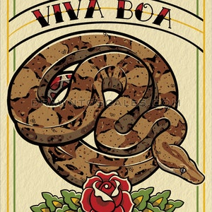 Viva Boa Constrictor (8x10 print), FREE SHIPPING