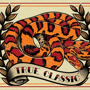 True Classic Cornsnake (8x10 print), FREE SHIPPING
