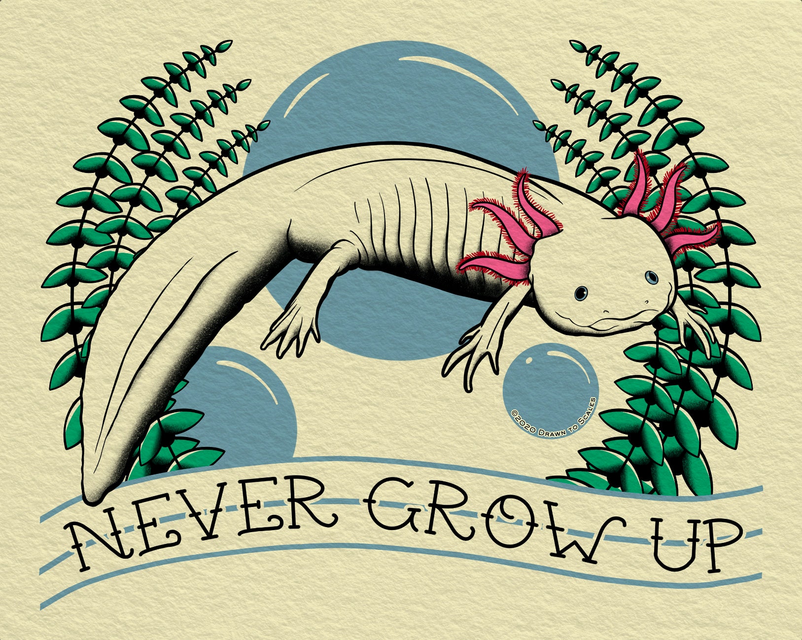 Axolotl Art Etsy Axolotl Art Etsy