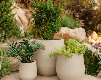 Serene Planter Pot