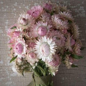 May include: A bouquet of pink and white paper-like flowers with green stems wrapped in burlap. The flowers have a layered petal design with a darker pink center. The background is a light brown, textured surface.