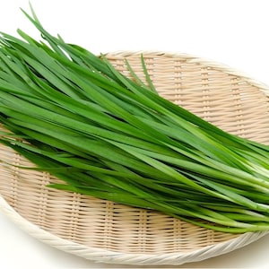 Garlic Chives Leek (15+) Bare Root, Perennial
