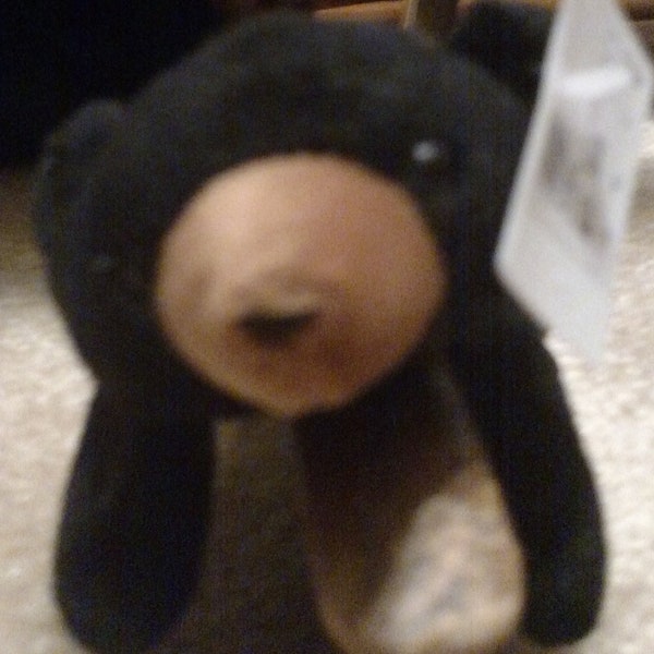 Blackie Bear Ty Beanie Baby