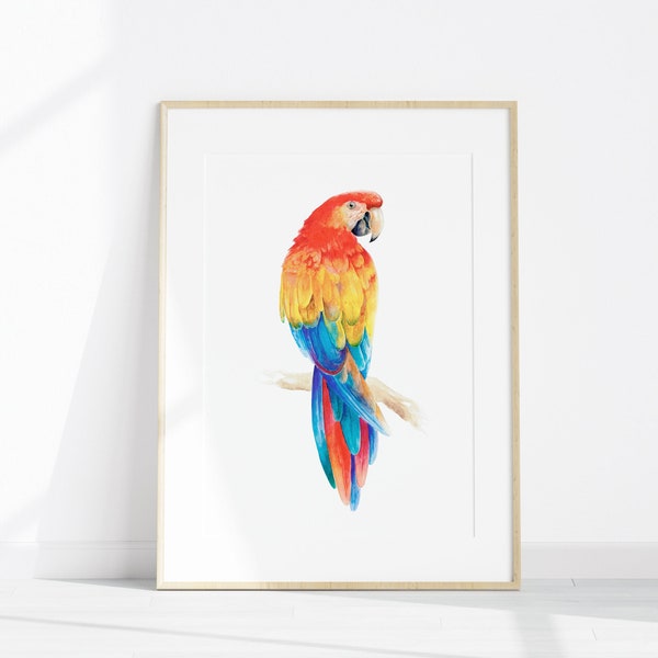 Scarlet Macaw Wall Art Print, Red Parrot Aquarelle, Peinture de perroquet imprimable, Décor mural d’oiseau tropical coloré, Impression numérique à télécharger