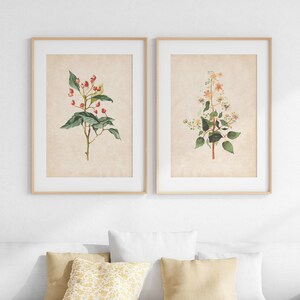 Vintage Botanical Prints Set Of 2, Antique Style Plant Illustrations, Retro Fower Poster, Rustic Downloadable Wall Art