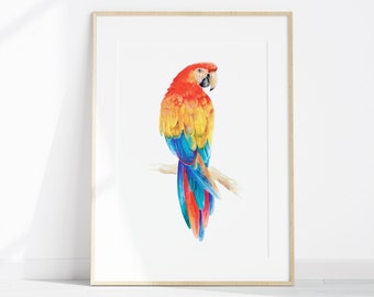 Scarlet Macaw Wall Art Print, Red Parrot Watercolor, Printable Parrot Painting, Colorful Tropical Bird Wall Decor, Digital Download Print