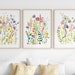 Colorful Wildflower Art Set Of 3, Bright Floral Prints, Digital Download, Printable Flower Watercolors 