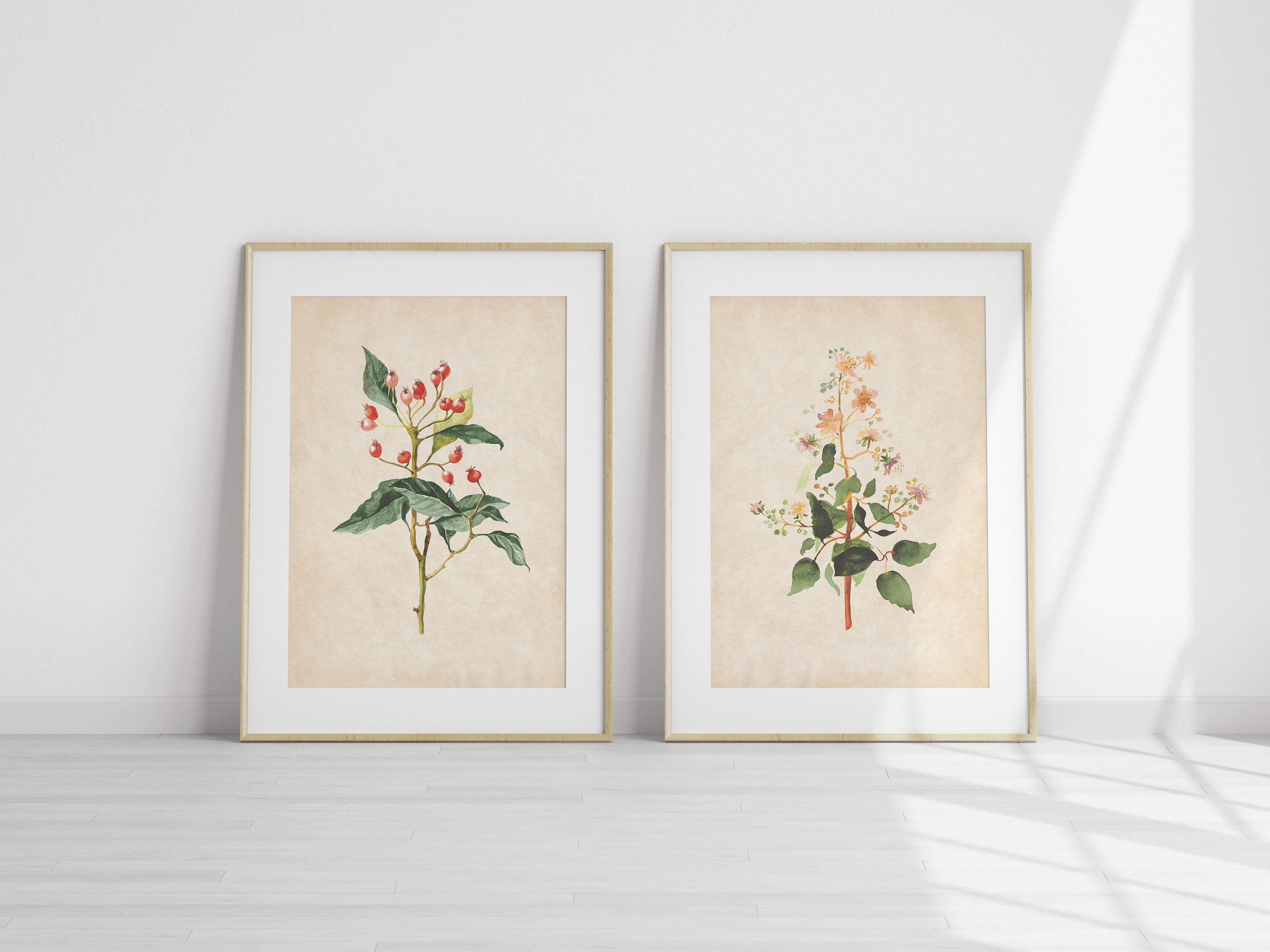 Vintage Botanical Prints Set Of 2 Antique Style Plant | Etsy