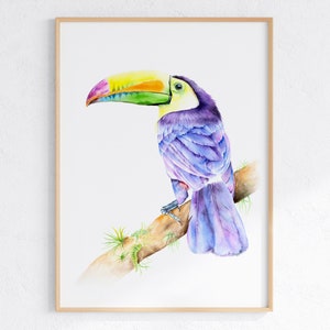 Arte de pared de tucán, Impresión de pájaro colorido, Decoración de dormitorio infantil, Impresiones de pájaros tropicales para guardería, Habitación de bebé de la jungla, Arte descargable, Regalo para amantes de las aves