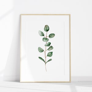 May include: A framed print of a watercolor painting of a eucalyptus branch with green leaves.