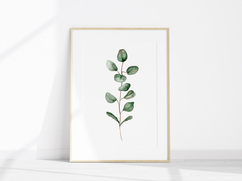 May include: A framed print of a watercolor painting of a eucalyptus branch with green leaves.