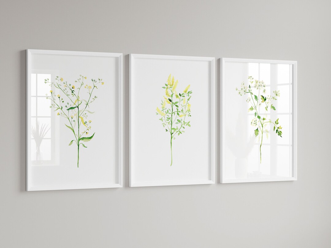 Minimalist Botanical Watercolors, Wall Art Set of 3 Greenery Wildflower