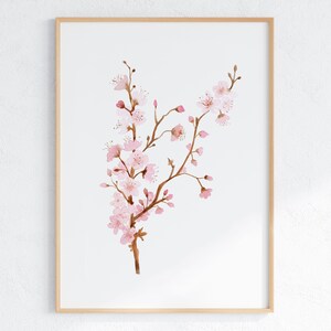 May include: A watercolor painting of a delicate branch of pink cherry blossoms. The flowers are painted in a soft, romantic style, with a light pink hue and subtle brown branches.