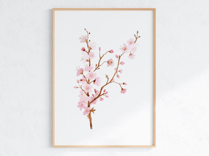 May include: A watercolor painting of a delicate branch of pink cherry blossoms. The flowers are painted in a soft, romantic style, with a light pink hue and subtle brown branches.