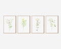 Minimalist Botanical Gallery Wall Art Set Of 4, Floral Prints, Farmhouse Wildflower Artwork, Digital Download