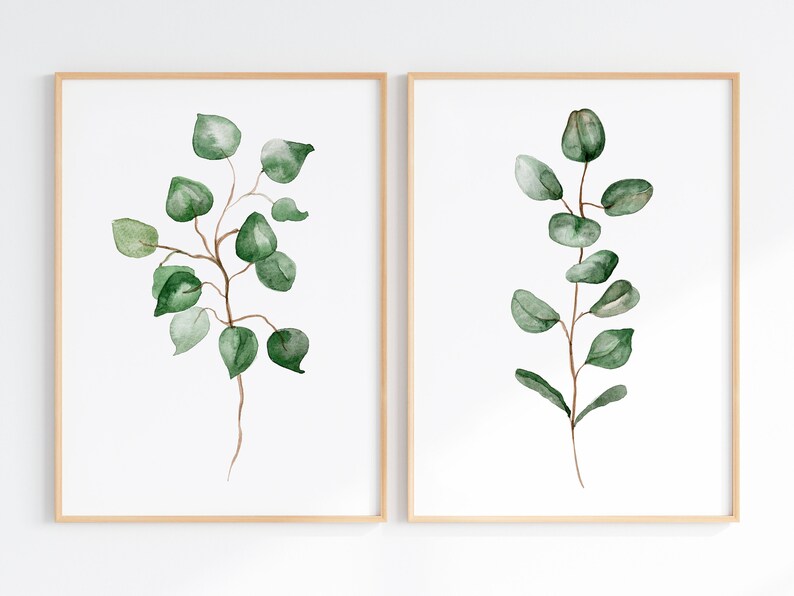 May include: Two framed prints of watercolor paintings of green eucalyptus branches on a white background.