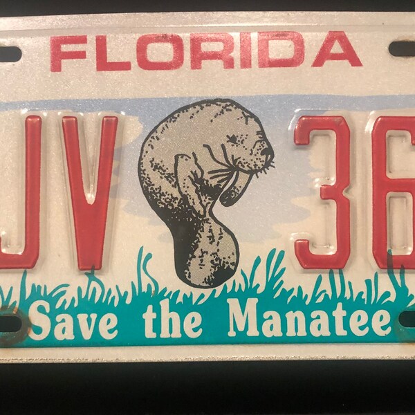 1993 Florida License Plate - Etsy