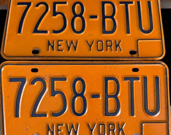 Vintage 1970s New York License Plates (Set of 2)