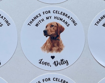Personalised Dog Cat Pet wedding stickers, personalised wedding stickers, wedding favour from pets, custom pet photo wedding stickers