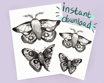 Printable Ink Moth Wall Art, Butterfly Board Inspired // Monochromatic Insect Illustration