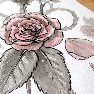 Ink Flower Paintings, Inktober Original Stylized Floral Illustrations image 6