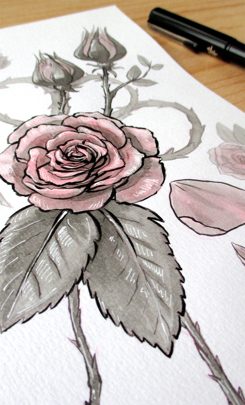 Ink Flower Paintings, Inktober Original Stylized Floral Illustrations image 6