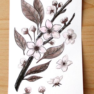 Ink Flower Paintings, Inktober Original Stylized Floral Illustrations Cherry Blossom