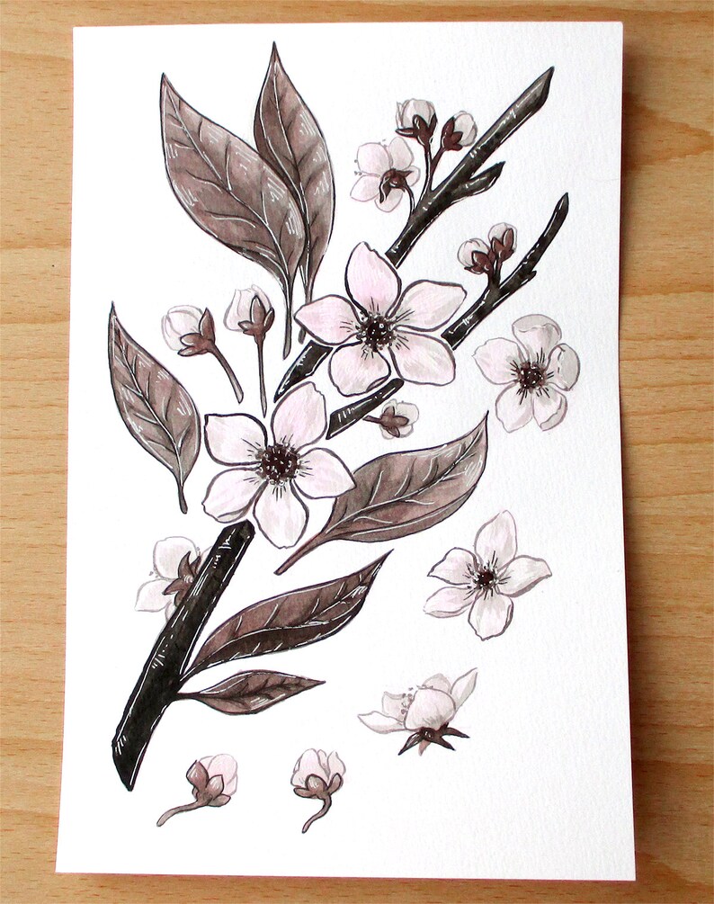 Ink Flower Paintings, Inktober Original Stylized Floral Illustrations Cherry Blossom