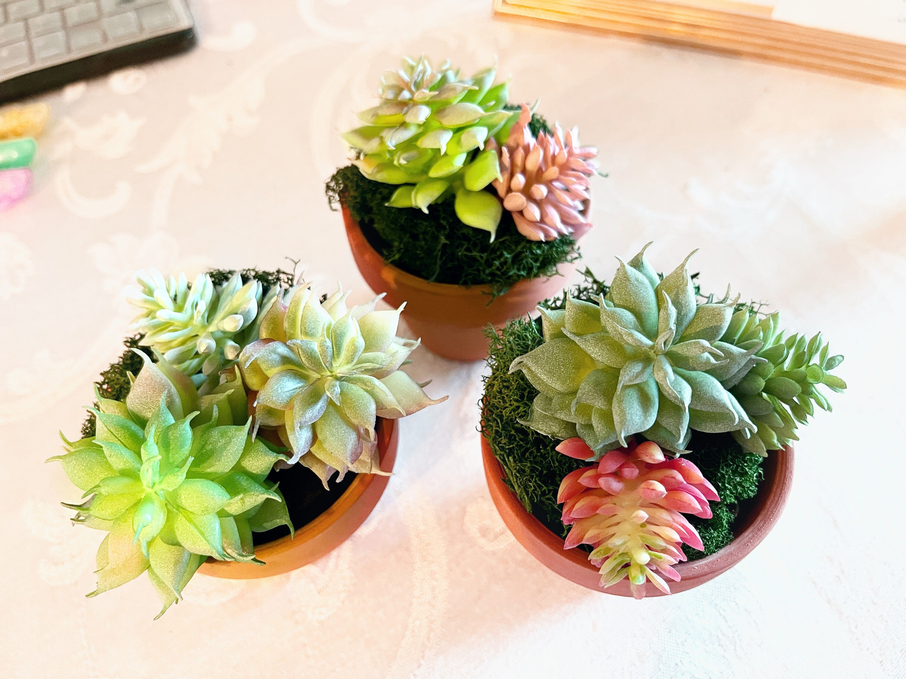 Succulent Desk Storage Artificial Mini Succulents with Etsy