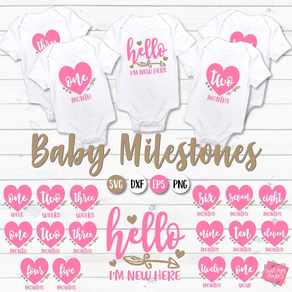 Baby Girl Milestones Svg, Baby Months Svg, Monthly Milestones Svg, Baby First Year, Newborn Svg, Toddler Svg Designs, Infant Milestones Svg