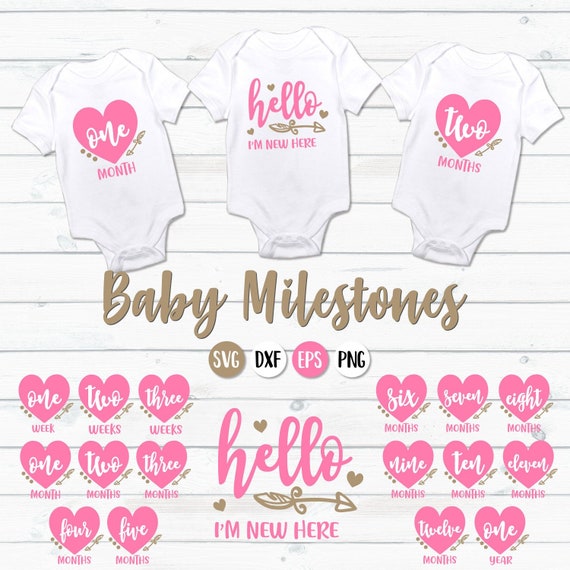Download Free Svg Month Milestone Bundle