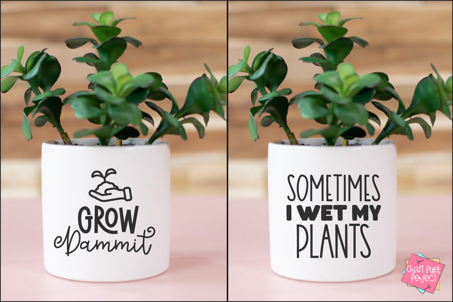 Funny Planter Sayings Svg, Succulent Svg, Cactus Svg, Plant Puns Svg ...