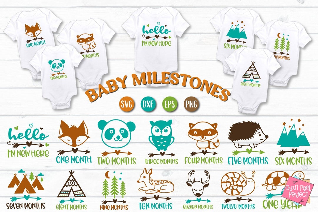 Milestones Svg, Baby Milestones Svg, Baby Months Svg, Baby First Year ...