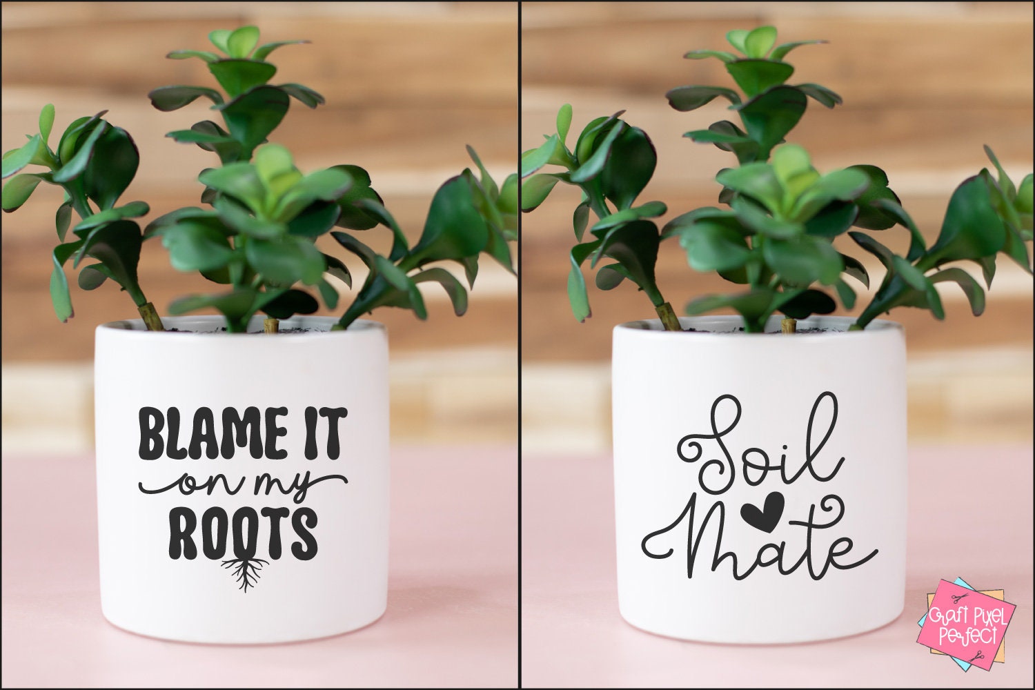 Funny Planter Sayings Svg, Succulent Svg, Cactus Svg, Plant Puns Svg ...